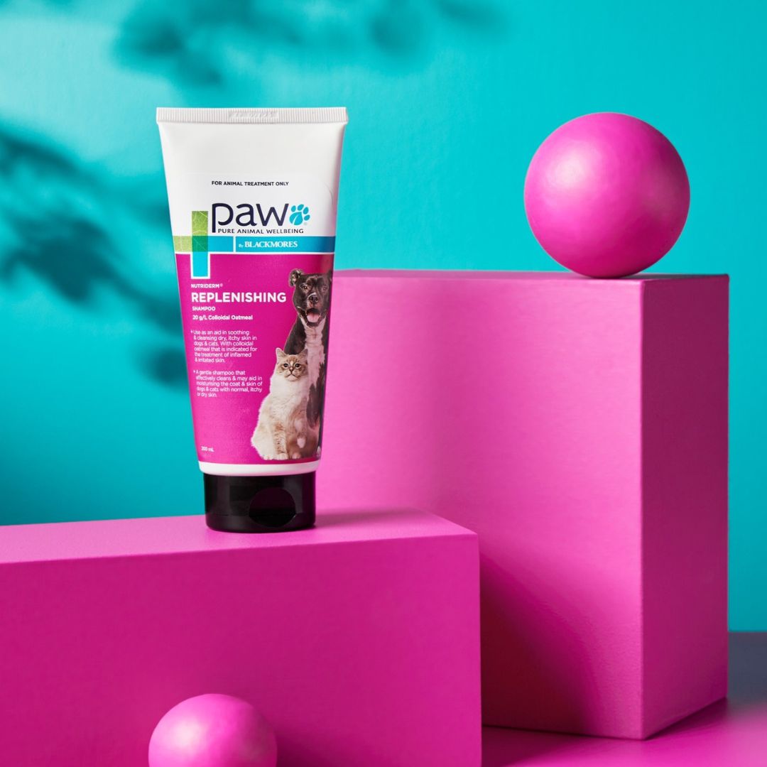 PAW NutriDerm® Replenishing Shampoo & Conditioner Cat & Dog Grooming