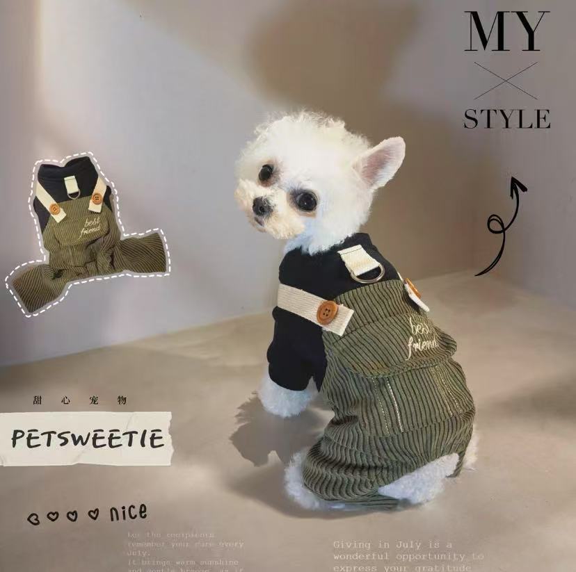 🐶❄️ Is Your Pet Feeling the Cold? Keep Them Warm with Pet Winter Clothes!