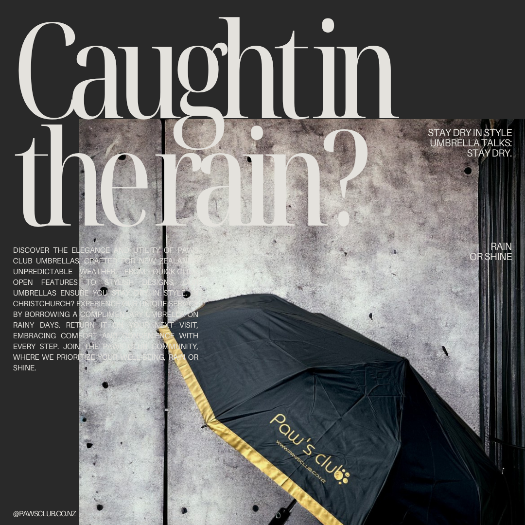 Stay Dry in Style with PAWS CLUB Quick-Click Umbrella ☔ - PAWS CLUB PET STORE