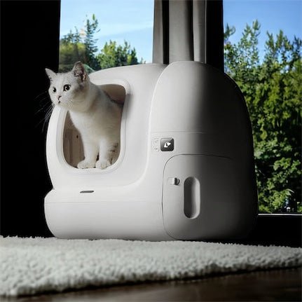 Discover the Magic of PETKIT PURA MAX - PAWS CLUB