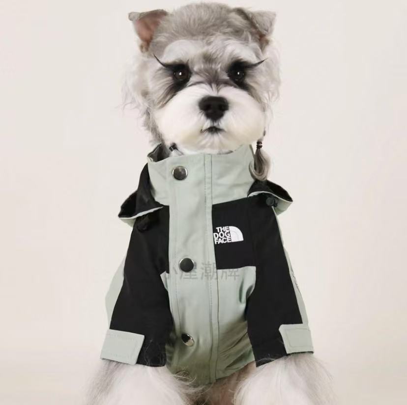 Canine Couture: Stylish Dog Wear Essentials | PAWS CLUB