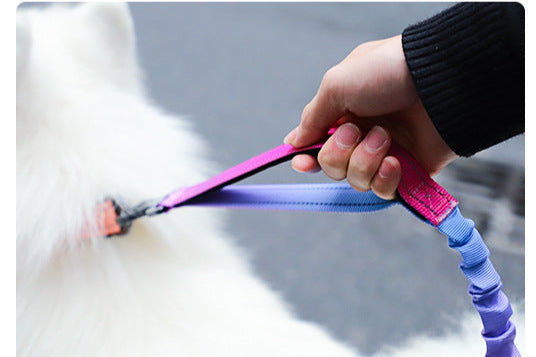 Anti-Burst Elastic Dog Leash | Reflective Gradient Multi-Functional Hands-Free Leash for Medium & Large Dogs