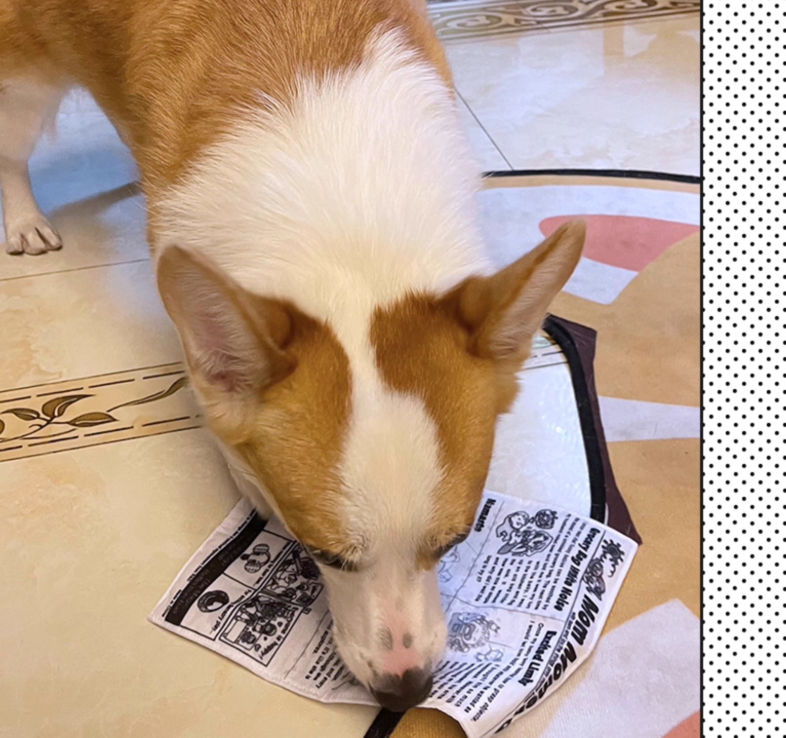 Squeaky Crinkle Pet Toy – Realistic Newspaper Design, Durable Chew Toy for Interactive Play & Boredom Relief