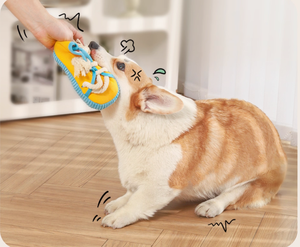 Squeaky Slipper Dog Toy – Chew-Resistant, Interactive & Fun