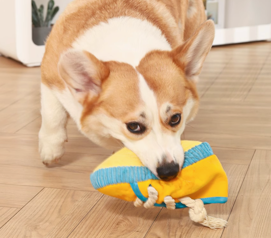 Squeaky Slipper Dog Toy – Chew-Resistant, Interactive & Fun