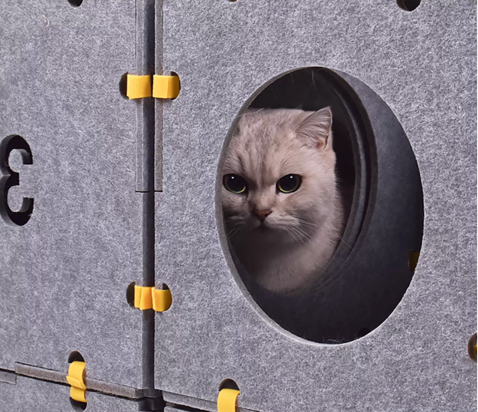 Modular Cat Playground Cube Set