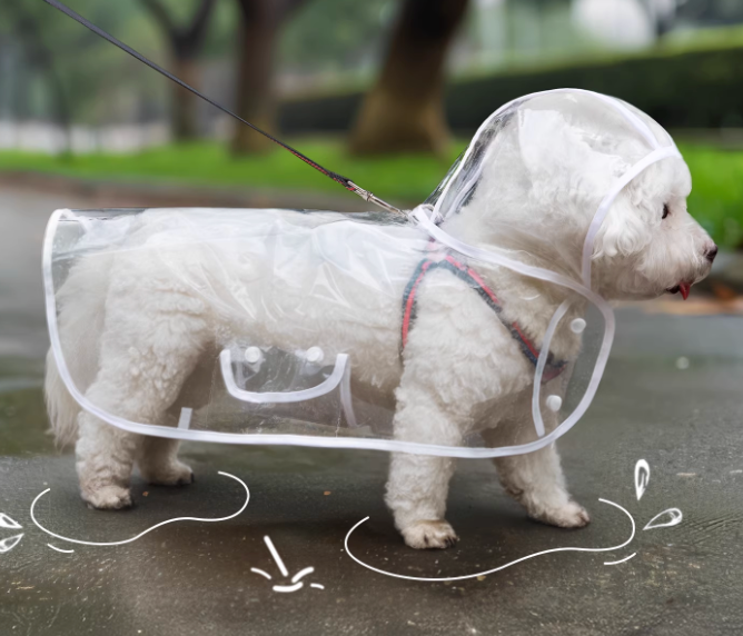 Raincoat Cape for Small & Medium Dogs and Cats – Transparent Waterproof Pet Clothing