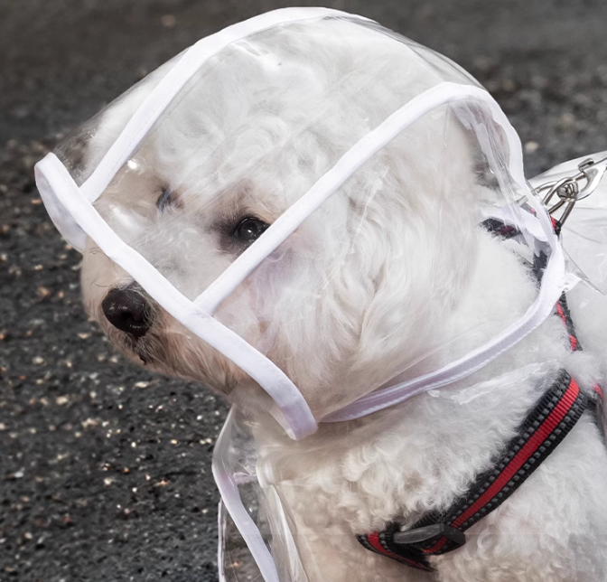 Raincoat Cape for Small & Medium Dogs and Cats – Transparent Waterproof Pet Clothing