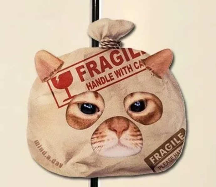 Cute Cat Acrylic Fridge Magnets – Funny & Creative Magnetic Decorations