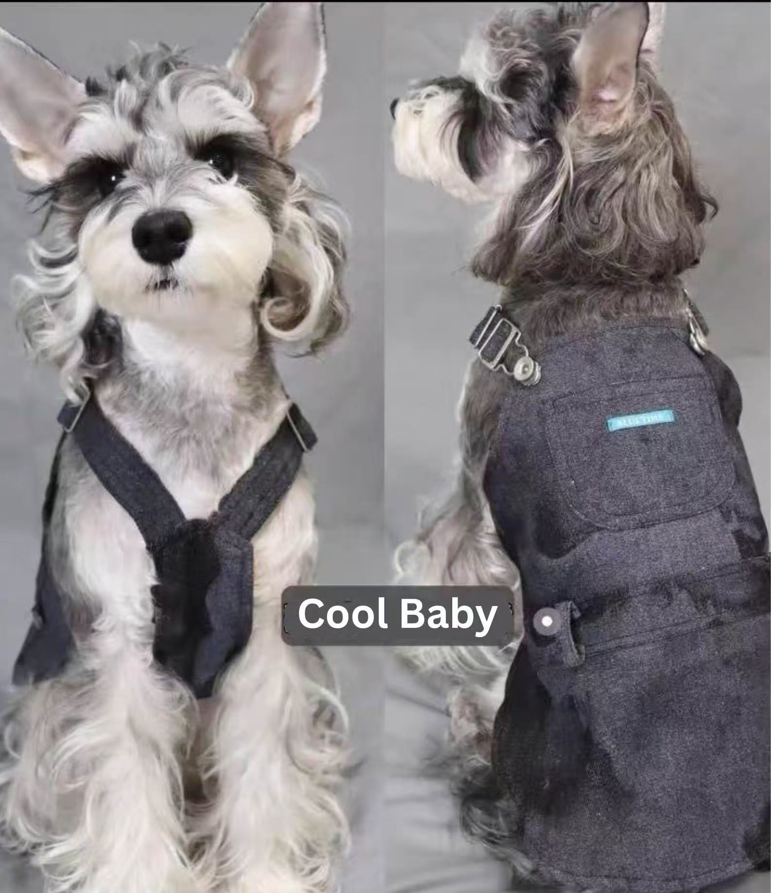 Pet Wear | Mooon~ Adorable Cow Print Pet Overalls Skirt –