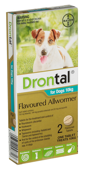 Drontal Allwormer: Comprehensive Worm Protection for Dogs