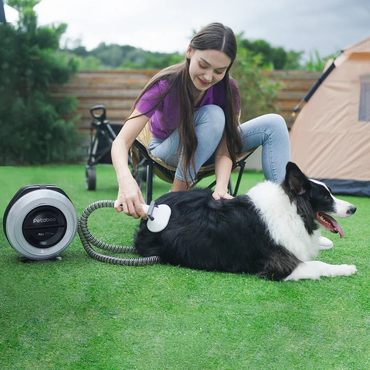 PETABOO Airy150 Pro 7 in 1 – Quiet Cordless Pet Vacuum for Grooming & Shedding