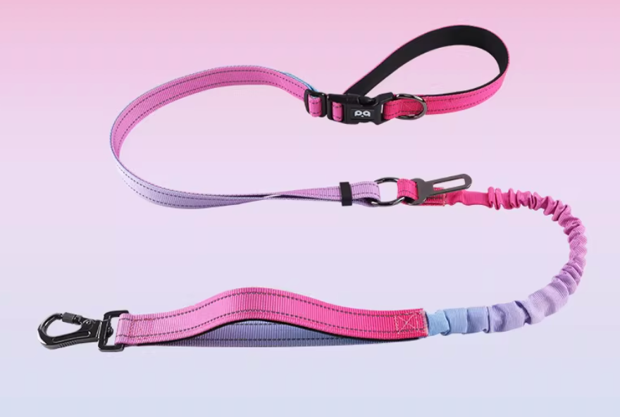 Anti-Burst Elastic Dog Leash | Reflective Gradient Multi-Functional Hands-Free Leash for Medium & Large Dogs