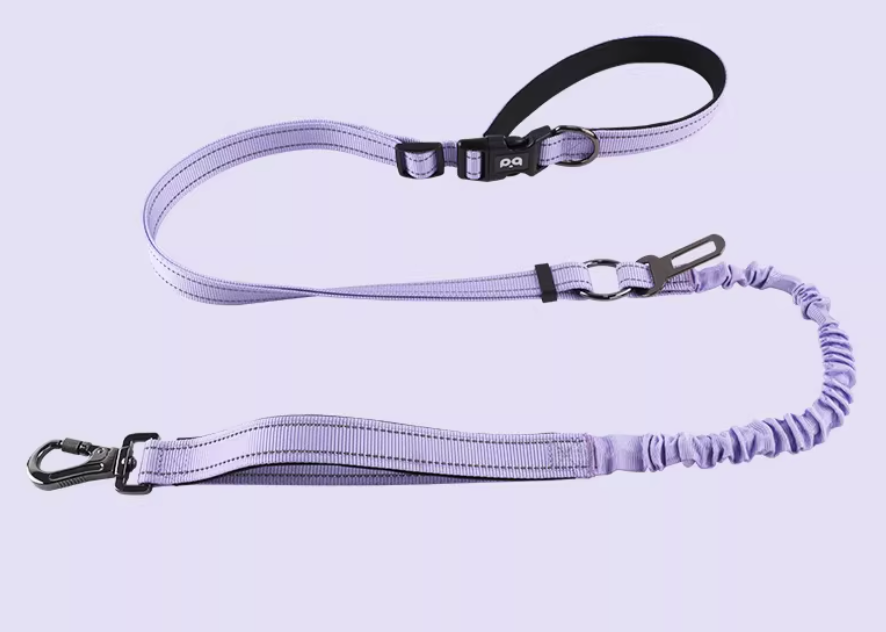 Anti-Burst Elastic Dog Leash | Reflective Gradient Multi-Functional Hands-Free Leash for Medium & Large Dogs