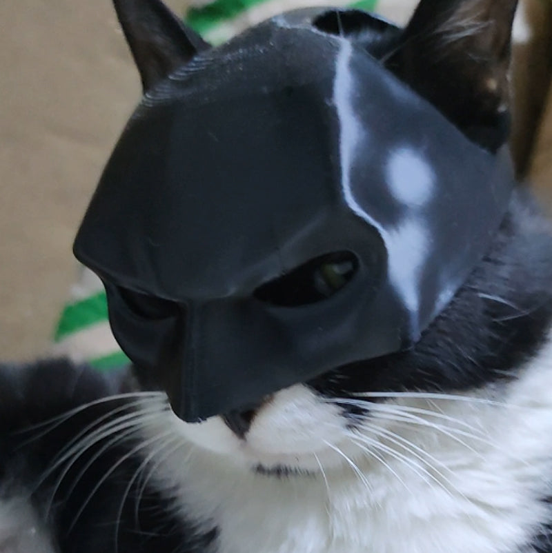 Funny Cat Mask Hat | Black Bat & Clown Party Costume for Cats