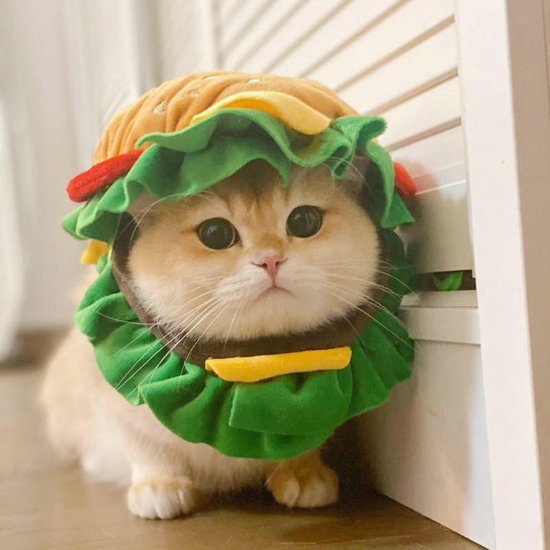 Burger Pet Hat for Cats & Dogs