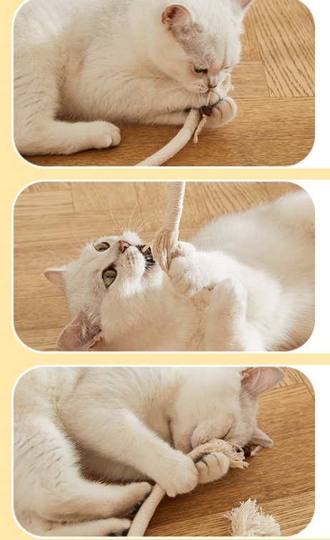 Cat Chew Rope Toy – Durable, Fun & Boredom-Busting