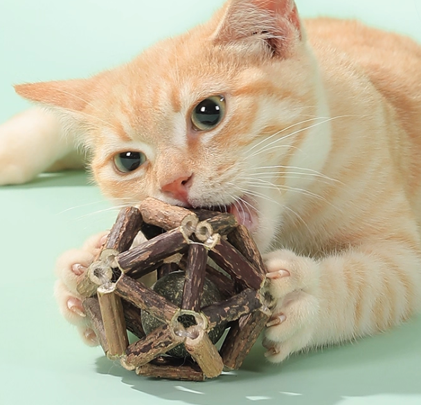 Catnip & Matatabi Chew Ball – Fun, Dental-Friendly Cat Toy