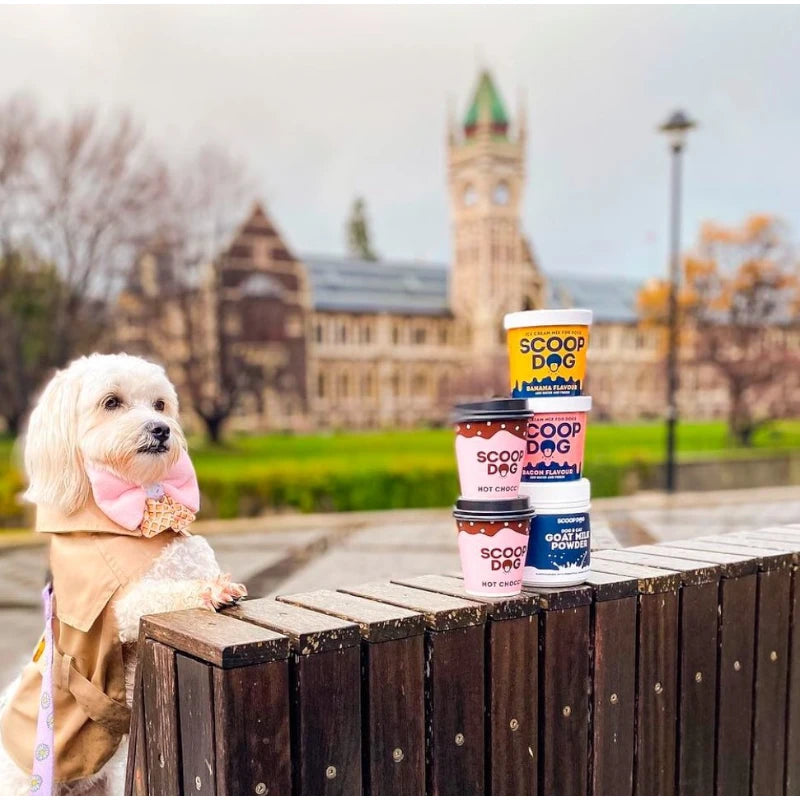 Scoop Dog Bacon Ice Cream Mix for Dogs - Natural & Delicious