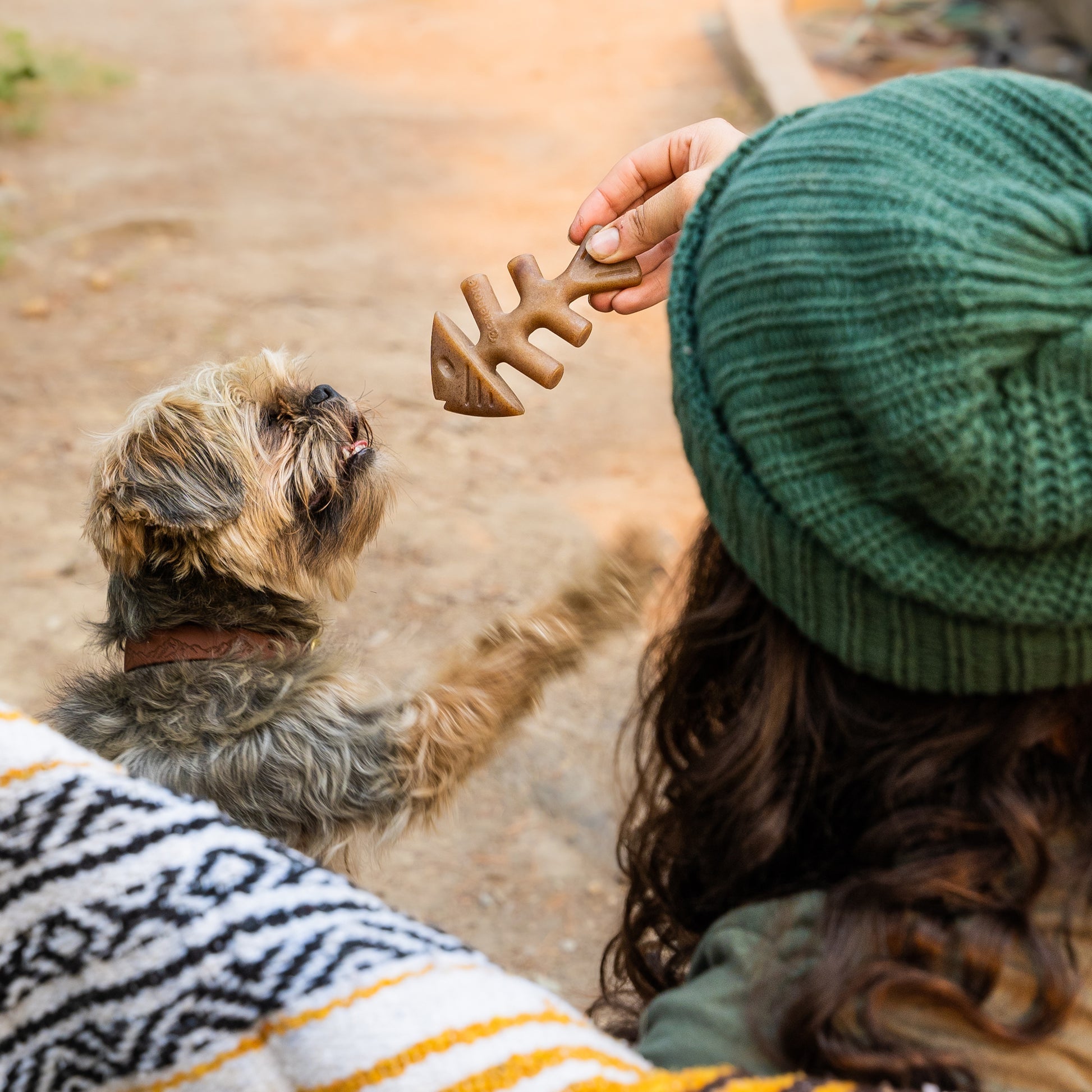 Benebone Fishbone Chew Toy for dogs, real Jack Salmon flavor, paw-friendly design