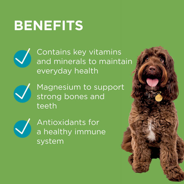 PAW by Blackmores Wellness + Vitality Multivitamin Chews for Dogs - Approx. 60 Chews / 300g