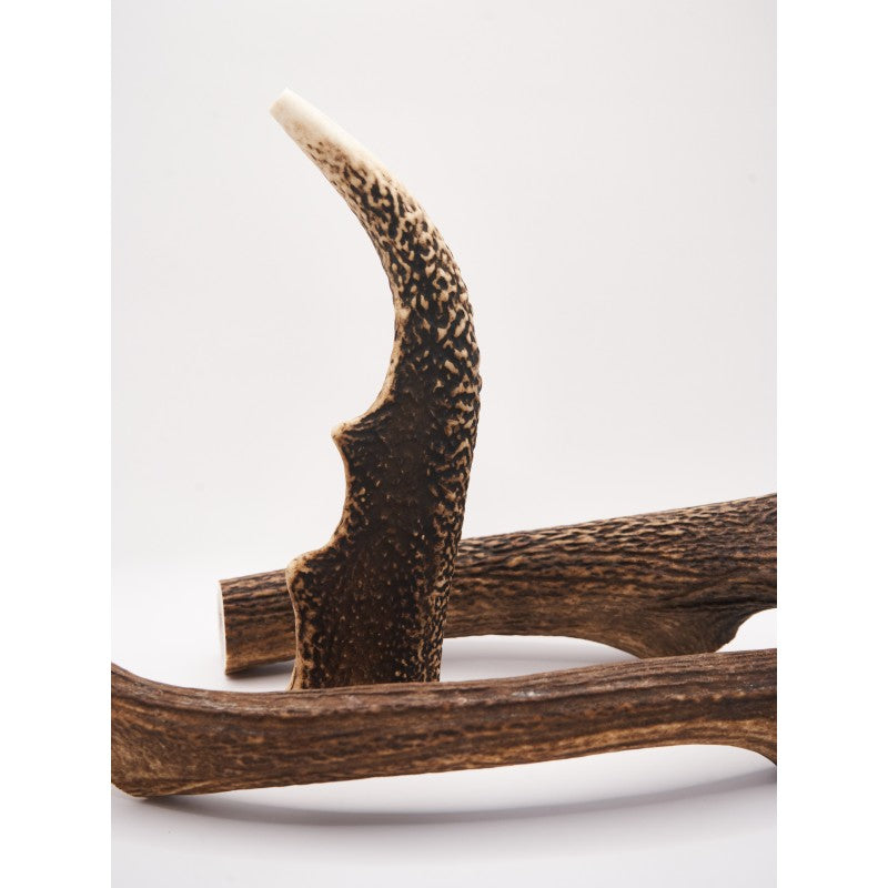 Hairy Tales Pet Food - Deer Antler Chew