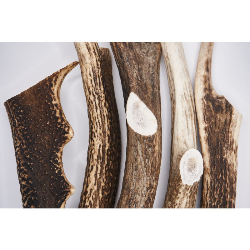 Hairy Tales Pet Food - Deer Antler Chew