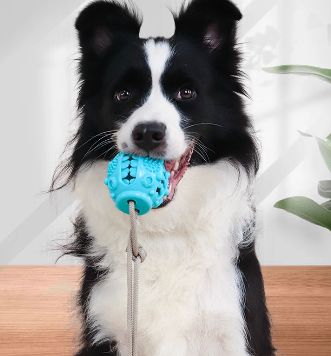 Dog Chew & Tug Toy with Strong Suction Cup