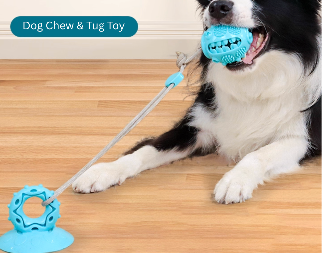 Dog Chew & Tug Toy with Strong Suction Cup