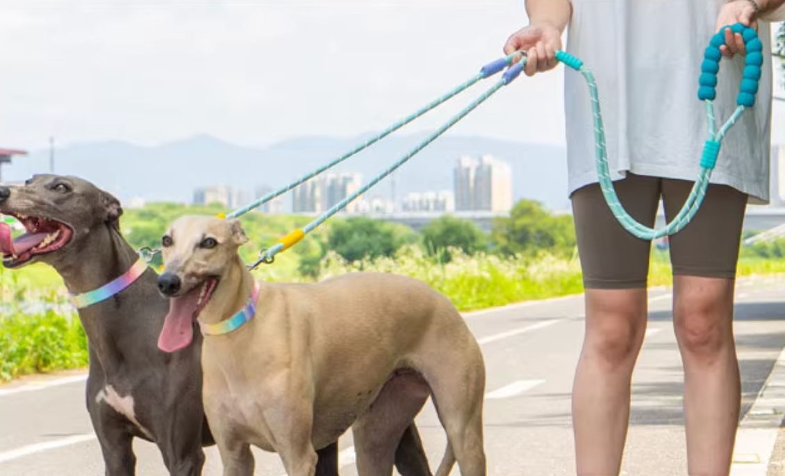 Dual Dog Leash No-Tangle | Hands-Free Waist & Crossbody Double Leash