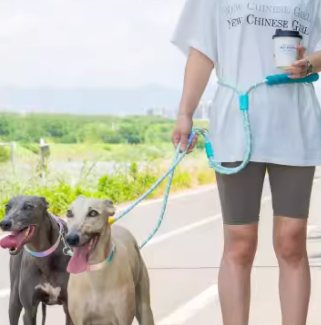 Dual Dog Leash No-Tangle | Hands-Free Waist & Crossbody Double Leash