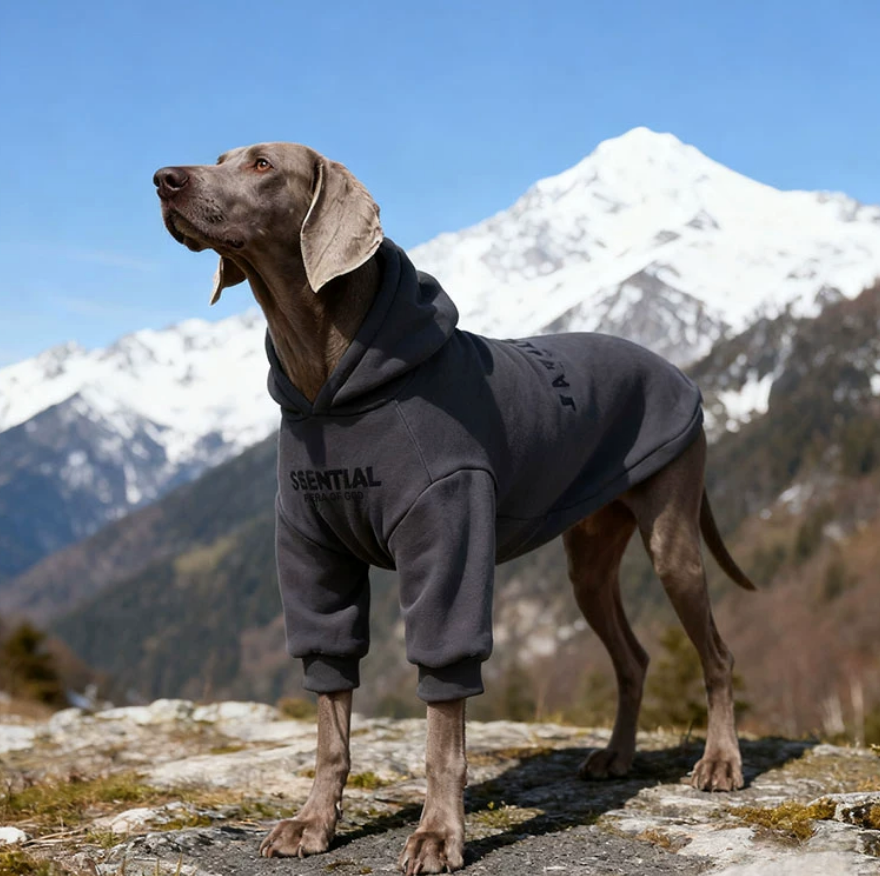 Fleece-Lined Winter Hoodie for Large Dogs – Warm & Cozy Pet Sweatshirt
