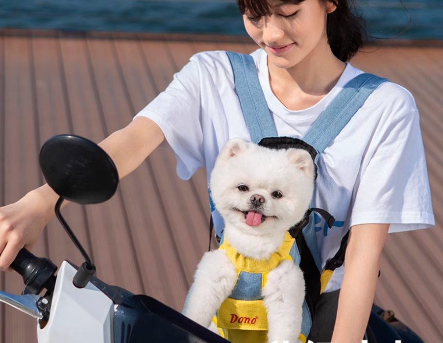 Front-Facing Pet Backpack for Dogs & Cats | Travel Carrier