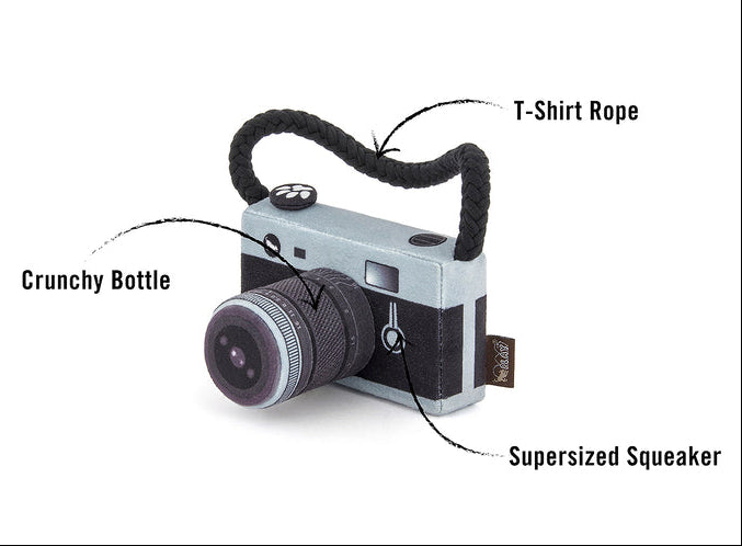P.L.A.Y. Globetrotter - Camera