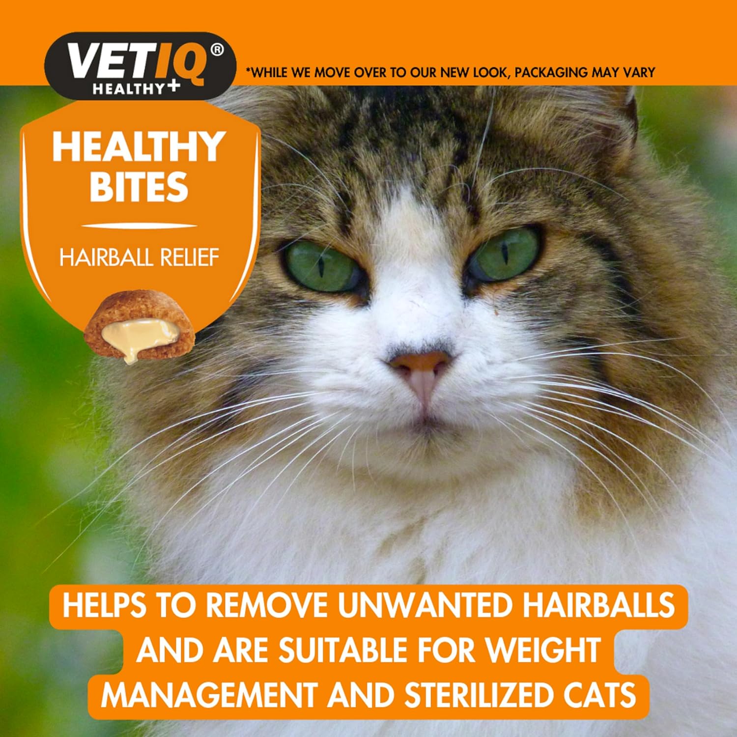VetIQ Healthy Bites Healthy Bites Hairball Remedy For Cats