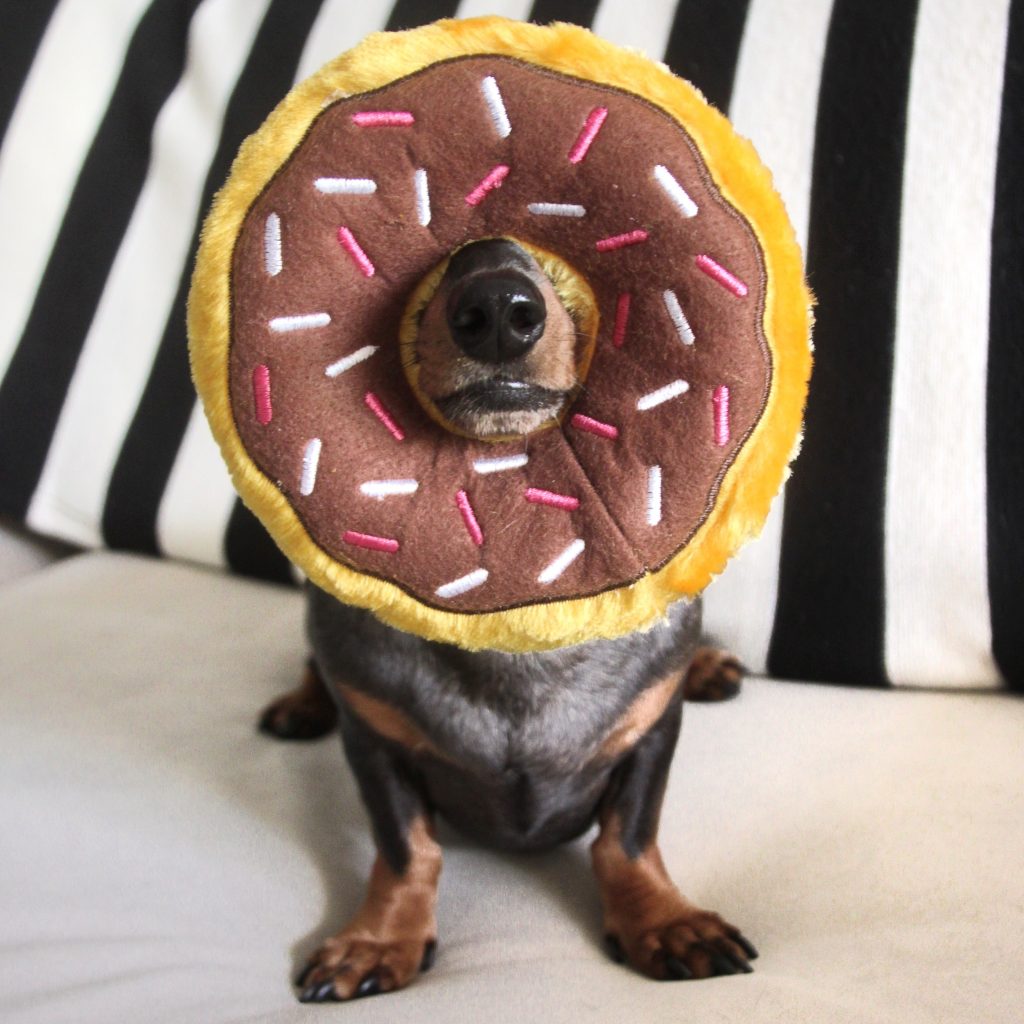 ZippyPaws Dog Toy Donutz Chocolate