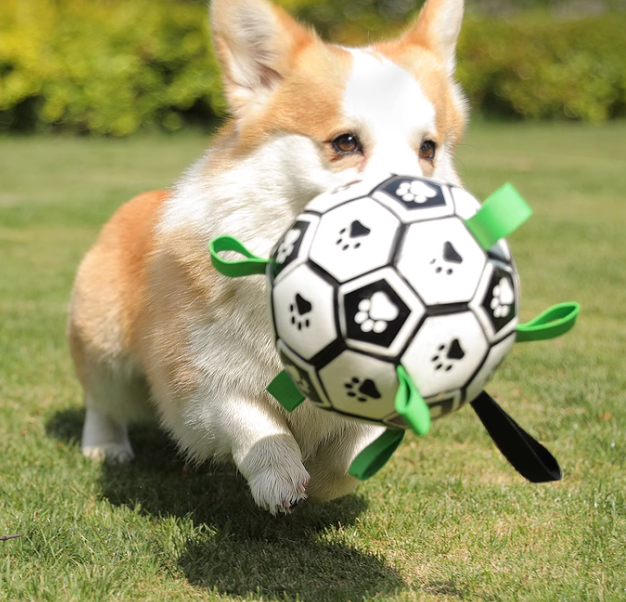 Interactive Dog Soccer Ball – Durable Training & Solo Play Toy