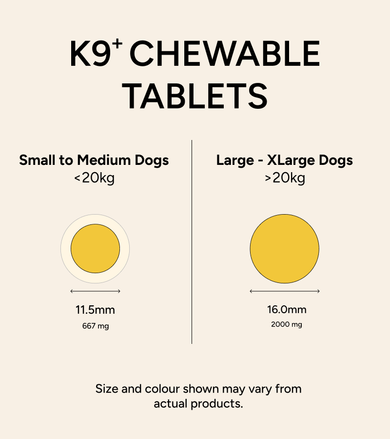 O2B K9+ Calm™ (Large Breed) - Stress Support 30s