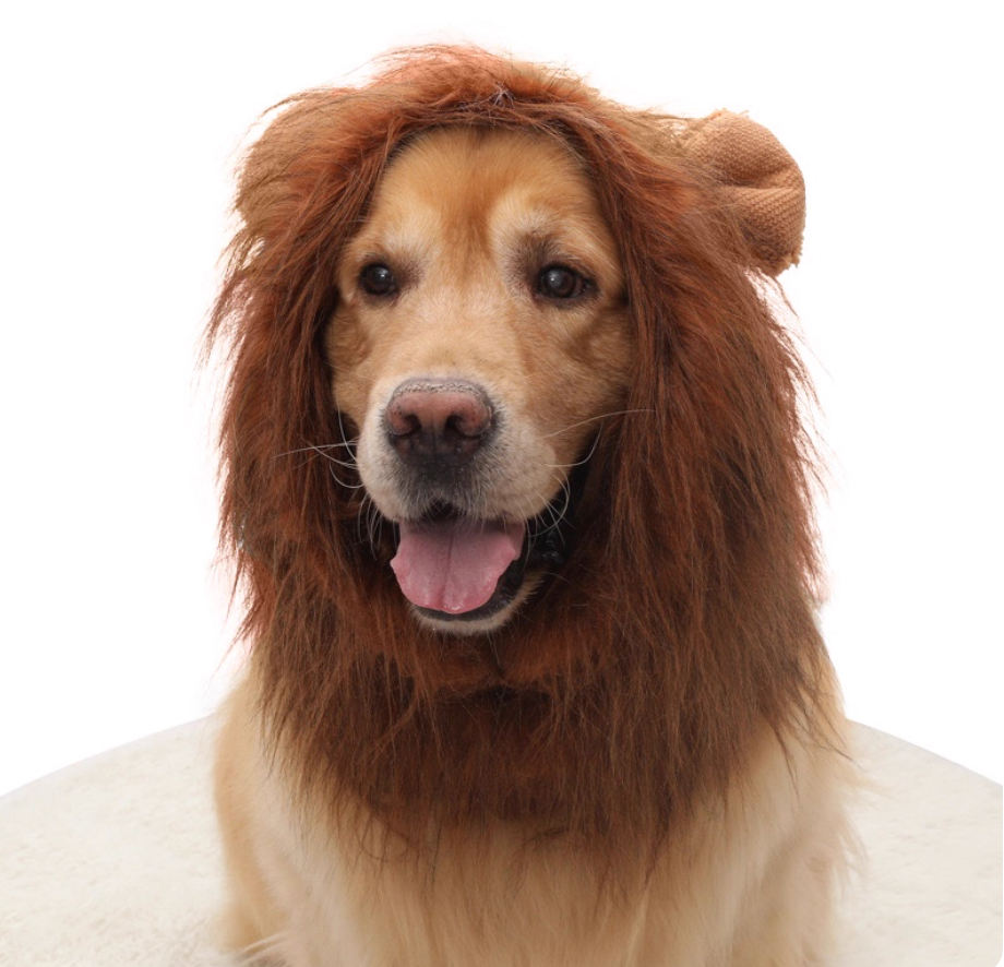 Lion Mane Wig Hat for Medium & Large Dogs