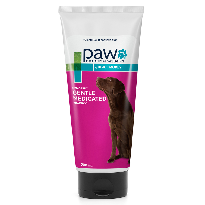 PAW by Blackmores MediDerm Gentle Medicated Shampoo