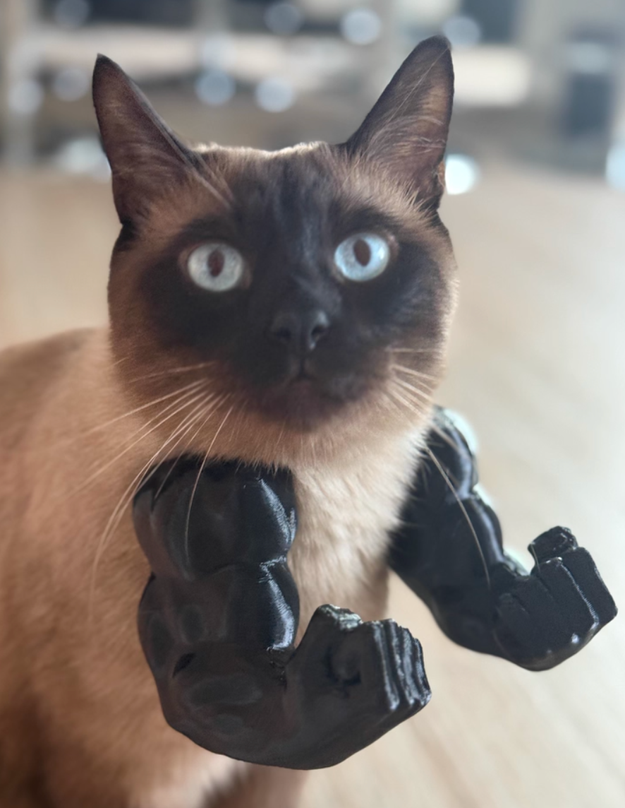 Muscle Arm Cat Boxing Toy | Hanging Punching Toy for Cats & Dogs