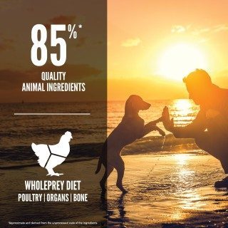 Orijen™ Puppy – Chicken & Turkey, Eggs, and Wild-Caught Fish