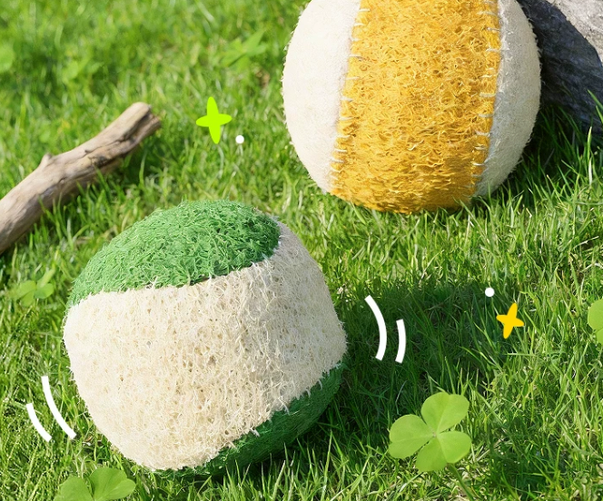 Natural Loofah Cat Toy Ball with Catnip – Dental Chew Toy for Kittens & Adult Cats