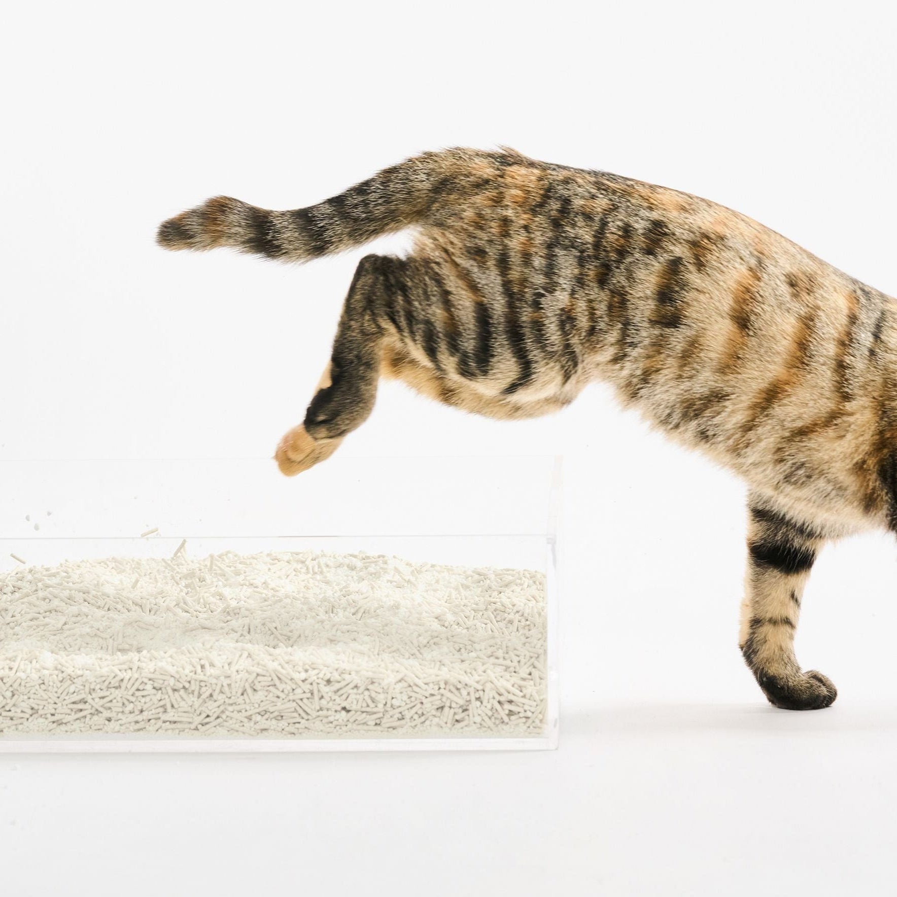 Pidan Cassava & Tofu Cat Litter