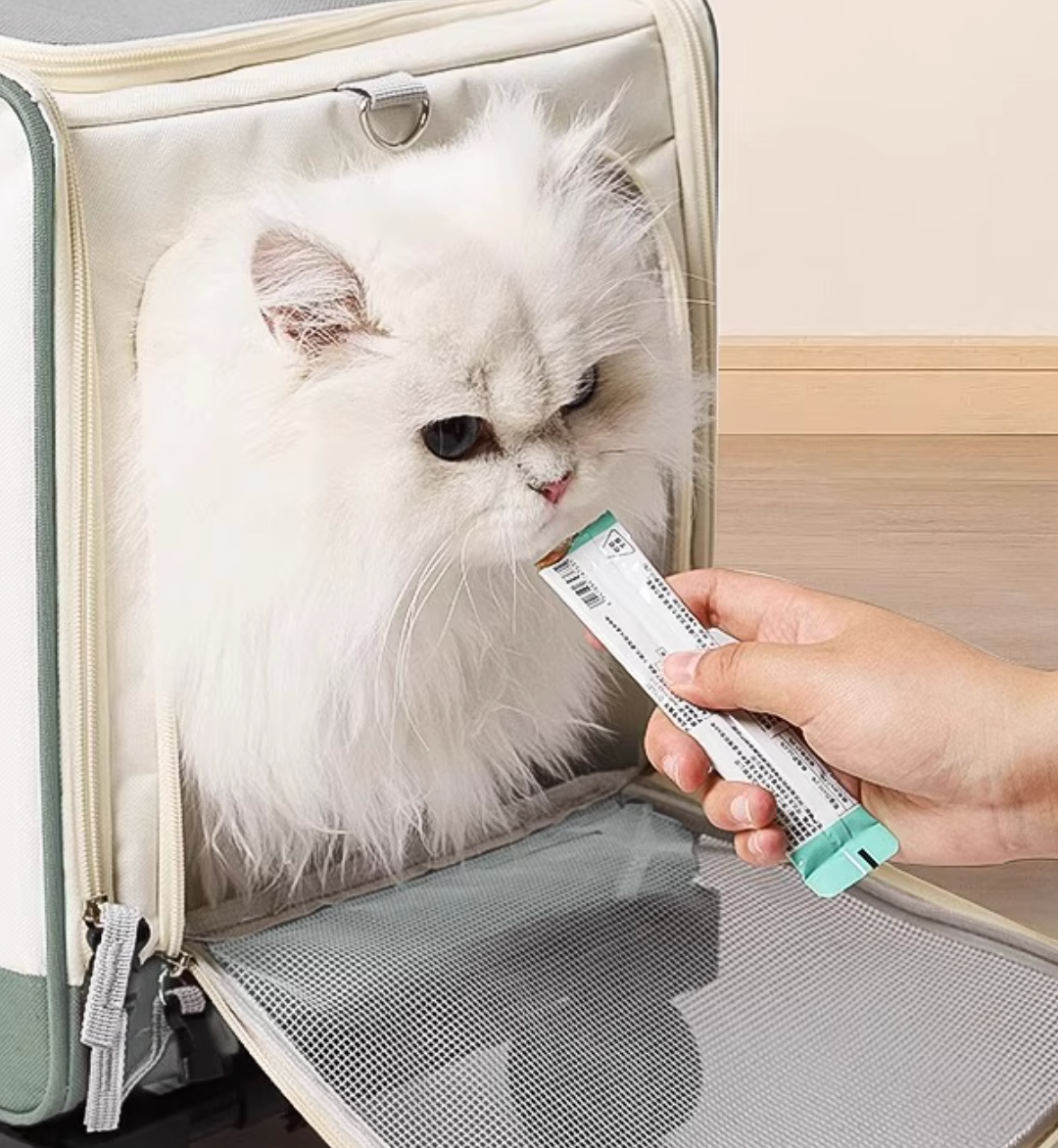 Portable Pet Travel Carrier – Large, Ventilated & Foldable