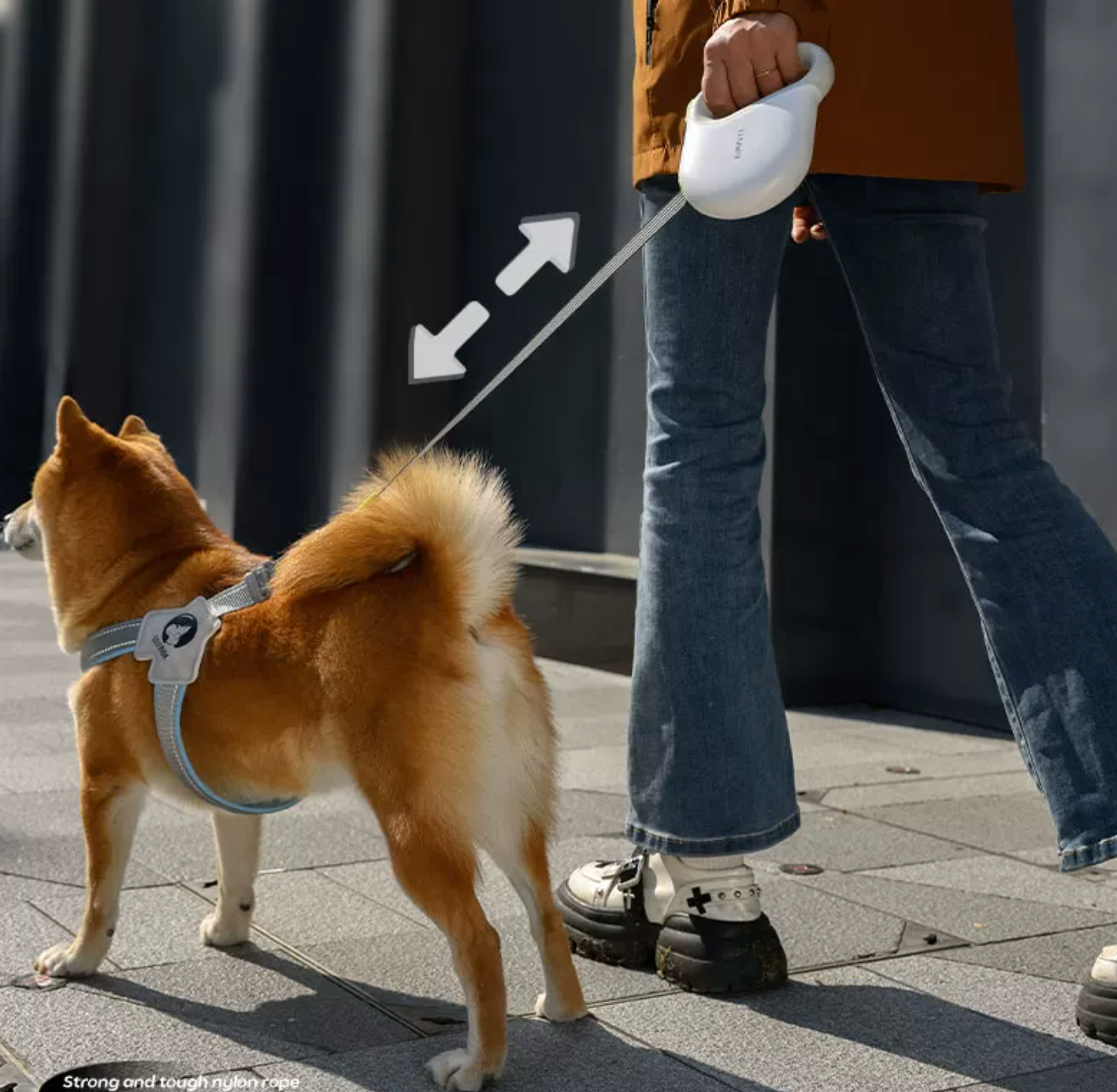 Retractable Dog Leash 5M – Smooth Recoil | Reflective Nylon | Anti-Escape Lock
