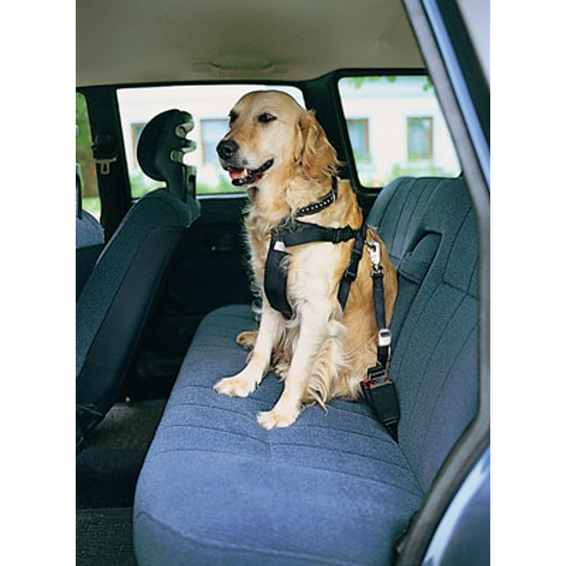 Trixie Car Harness Small