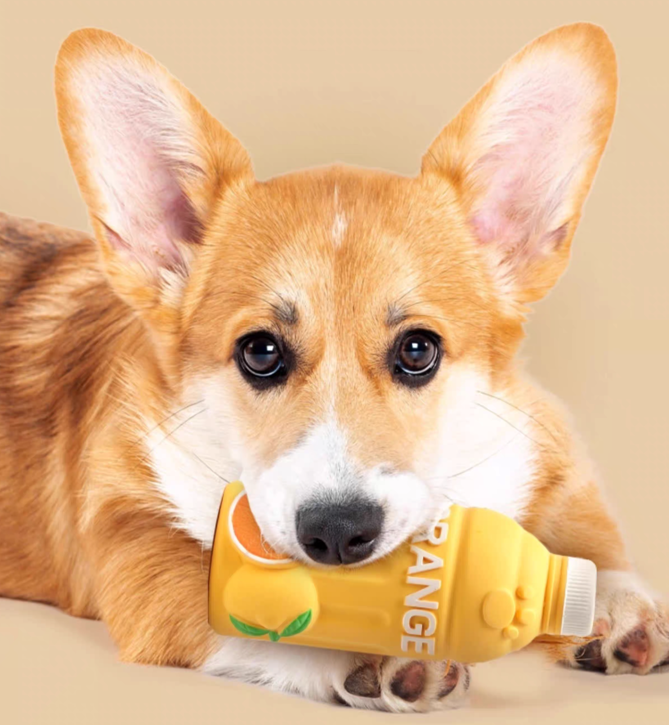 Squeaky Dog Toy | Soft Latex Chew Toy for Puppies & Small Dogs