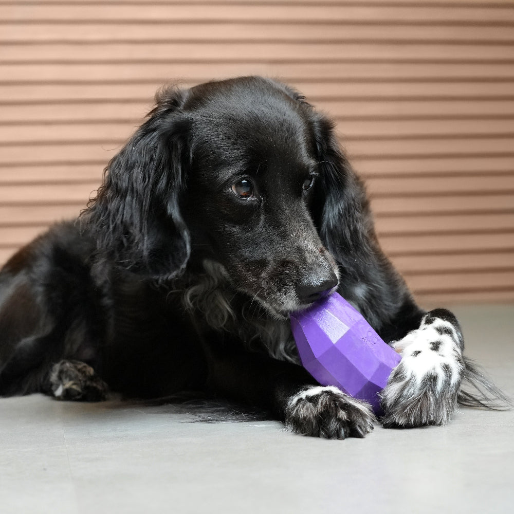 Zee.Dog Super Veggiez Toy - Eggplant