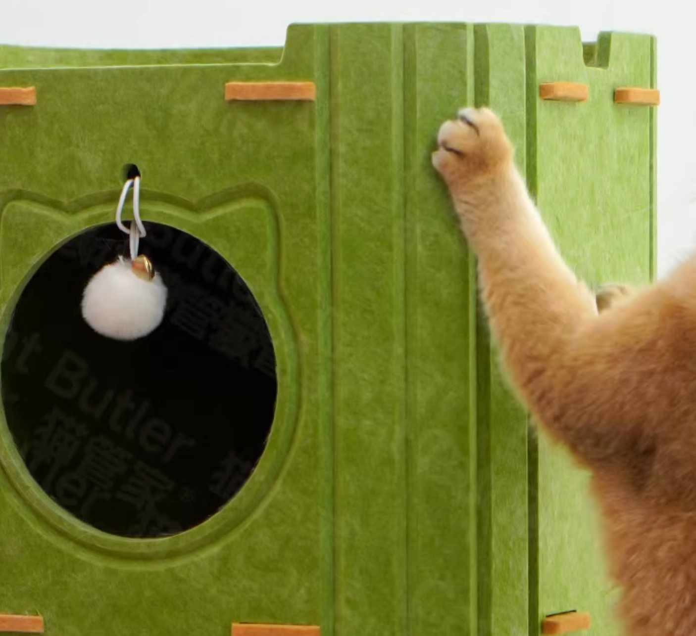 Tree Hollow Cat House with Scratcher | Multi-Level | Heavy-Duty, Washable Cat Furniture